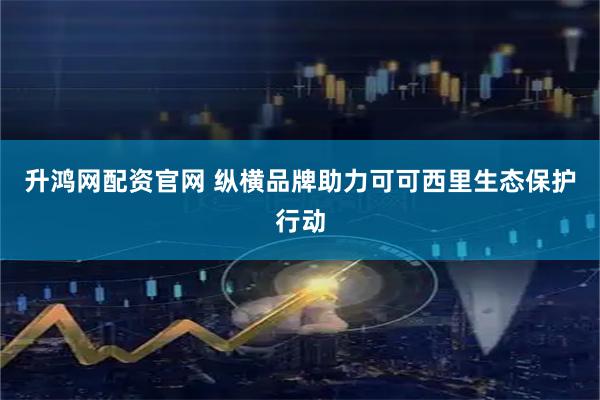 升鸿网配资官网 纵横品牌助力可可西里生态保护行动