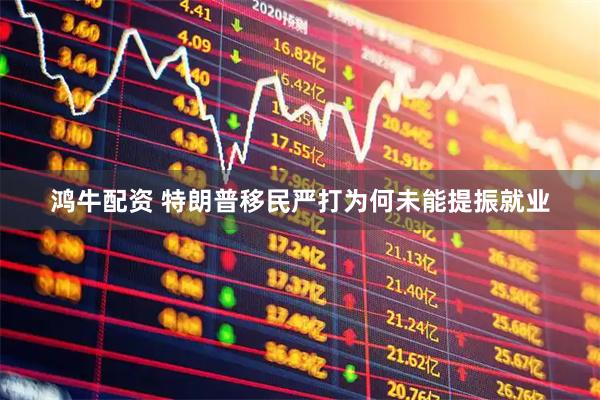 鸿牛配资 特朗普移民严打为何未能提振就业